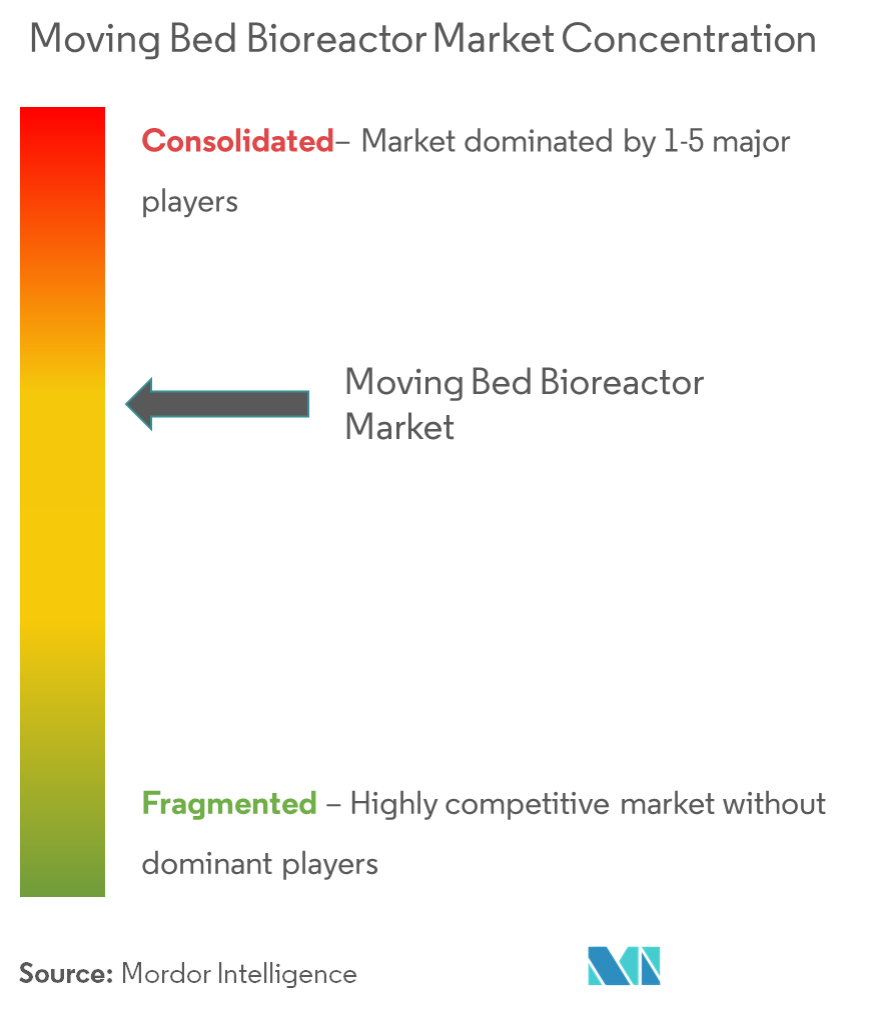 Moving Bed Bioreactor Mbbr Market Concentration